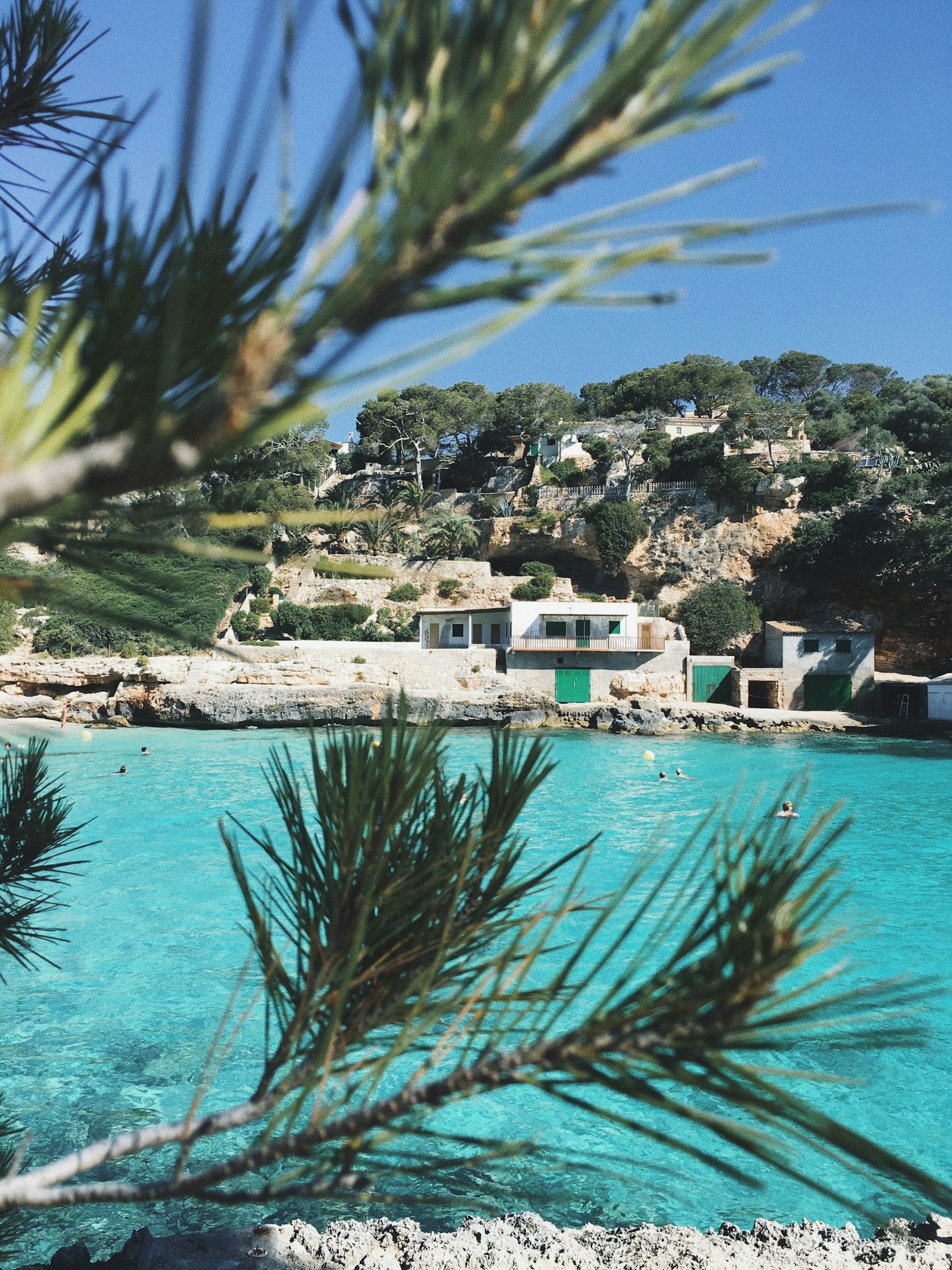De bedste naturoplevelser på Mallorca